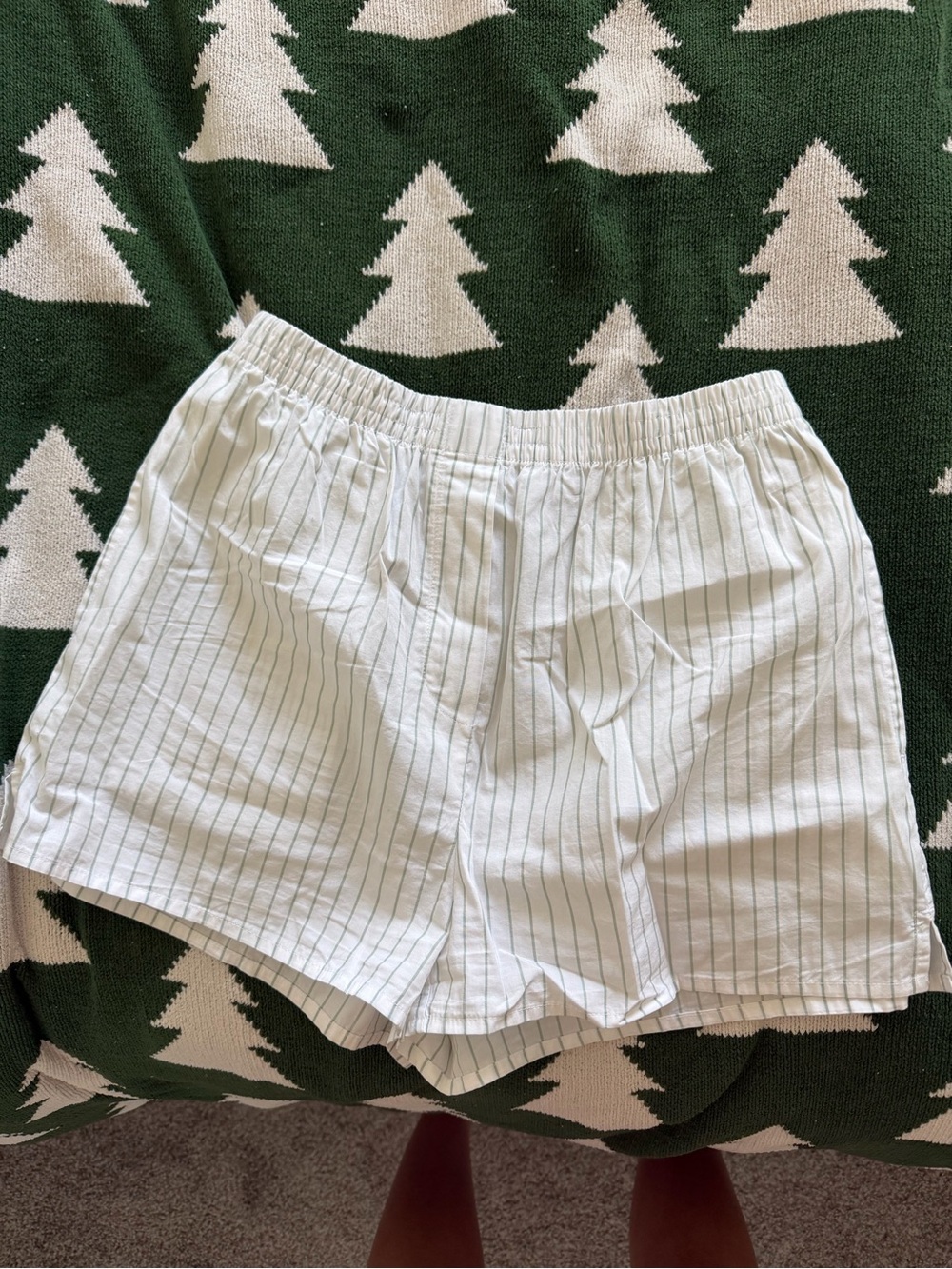 Aritzia Boxer Shorts